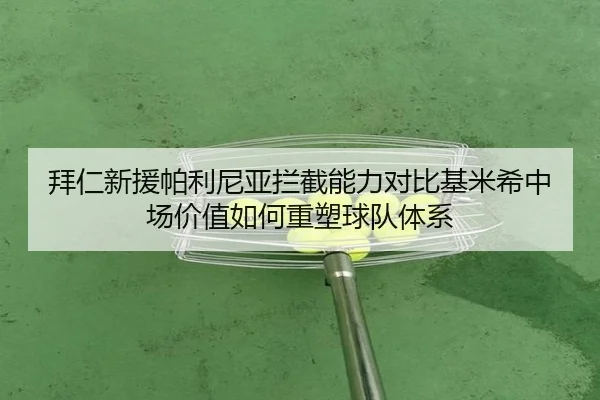 拜仁新援帕利尼亚拦截能力对比基米希中场价值如何重塑球队体系