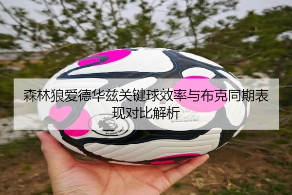 森林狼爱德华兹关键球效率与布克同期表现对比解析